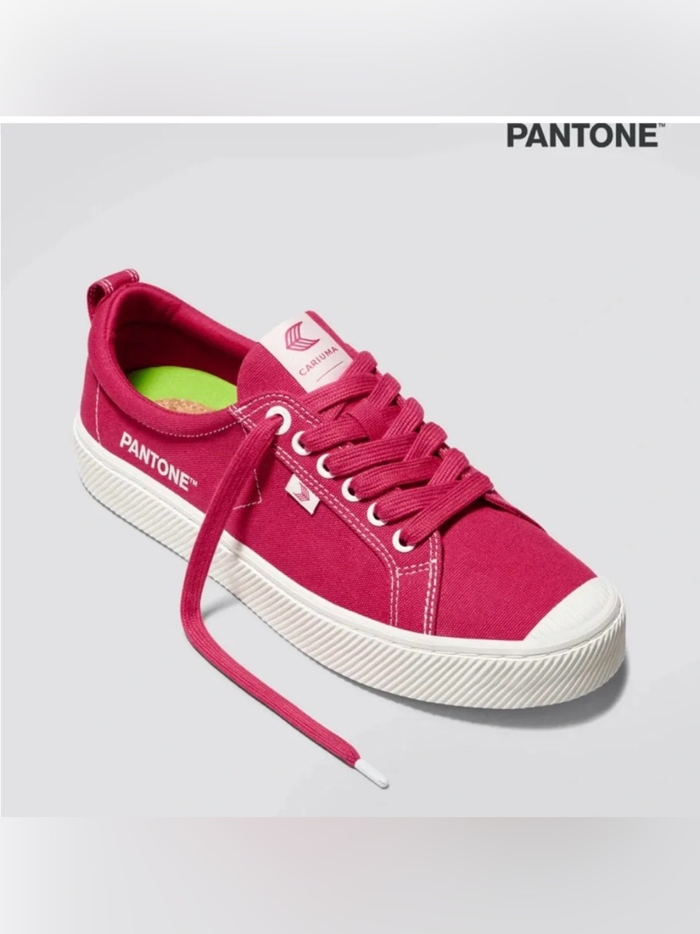 Cariuma x Pantone OCA Low Fuschia Limited Edition Canvas Sneakers 8.5